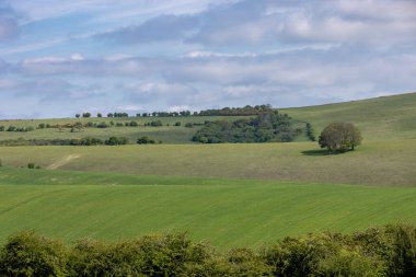 İlkbaharda huzurlu bir Sussex manzarası
