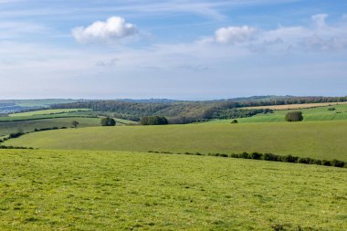 Kırsal bir Sussex bahar manzarası, üzerinde mavi bir gökyüzü var.