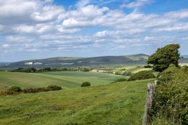 Güneşli bir bahar gününde yeşil bir Güney Downs manzarası