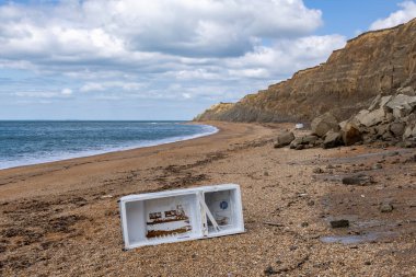 Issız bir sahilde terk edilmiş bir buzdolabı. Wlight Adası 'nda. Muhtemelen yukarıdaki uçurumdan atılmış.