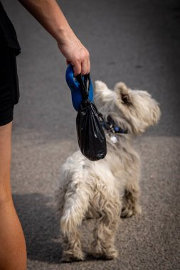Sorumluluk sahibi bir köpek gezdiricisi köpek dışkısı torbası taşıyor. Önünde de köpek var.