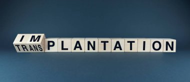 Tahta blokların nakil ve nakil kelimelerini hecelemesi. Görüntü cerrahi müdahale kavramını ve iki ortak prosedür arasındaki seçimi temsil ediyor.