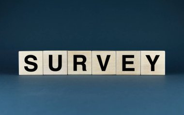 Tahta bloklar SURVEY yazımı araştırma ya da analiz için bilgi toplamayı sembolize eder. Pazar araştırmalarıyla ilgili makaleler, blog yazıları veya herhangi bir proje için ideal