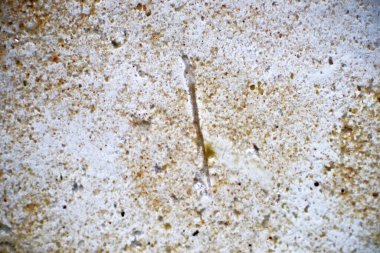 Plastik parçacıklarıyla dolu toprak ve su örneğinde kirlenmiş mikro plastik atıkların morfolojisi analiz ediliyor. Fiberlerin mikroskobu makro 40x lensli plastik türünde çevresel sağlık laboratuvarı.