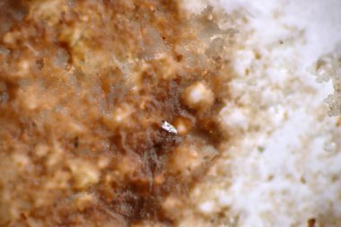 Toprağın içindeki mikroplastikler. Küresel ısınma ve iklim değişikliği kavramı. Geri dönüşümsüz plastikler mikroskop makroskobu 40x çevre sağlığı laboratuvarı ile sahada çevre kirliliği yaratıyor..