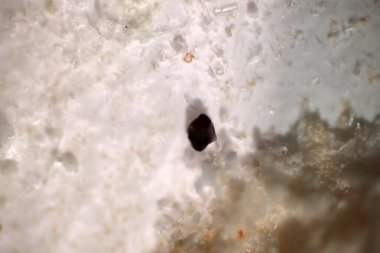 Toprak ve suda kirlenmiş mikro plastik atıkların analizi. Kapalı makro 40x lensli mikroskop türü mikroskop mikroplastik siyah renk çevre sağlığı laboratuvarında. Seçici odak.