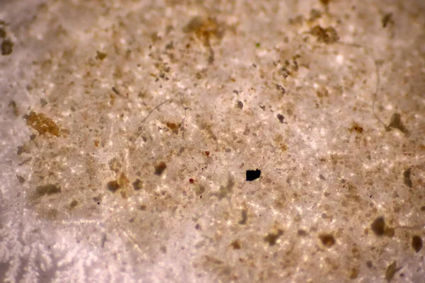土壤中的微塑料 全球变暖和气候变化的概念 用显微镜宏观40X透镜环境健康实验室研究不可循环塑料对环境造成的污染 — 图库照片