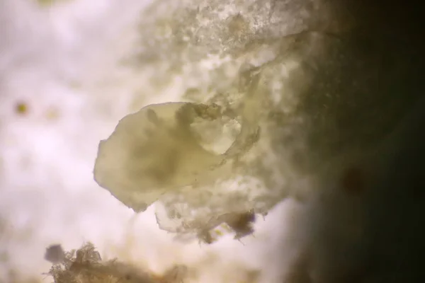 Talajban Szennyezett Mikroplasztikai Hulladék Műanyagrészecskékkel Teli Vízminta Morfológiájának Elemzése Mikroszkóp — Stock Fotó
