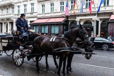 Viyana, Avusturya - 14 Ekim 2022: Sacher Hotel cephesi, at arabası ve sürücüsü Innere Stadt, Viyana, Avusturya