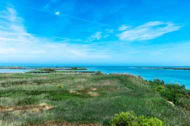 Ebro nehrinin ağzı Sant Jaume d Enveja 'daki Ebro Delta doğal parkı, Katalonya; İspanya