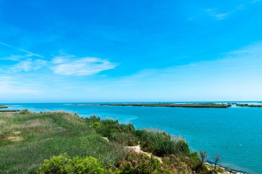 Ebro nehrinin ağzı Sant Jaume d Enveja 'daki Ebro Delta doğal parkı, Katalonya; İspanya