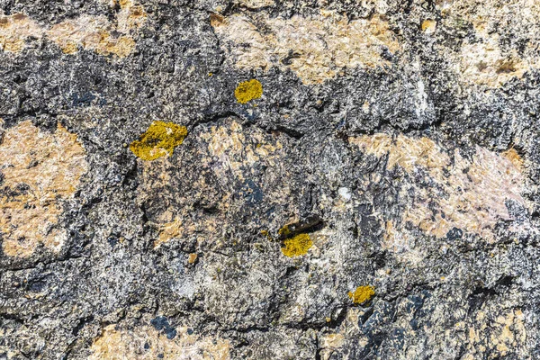 Muro Pietra Eroded Con Lichene Come Sfondo — Foto Stock