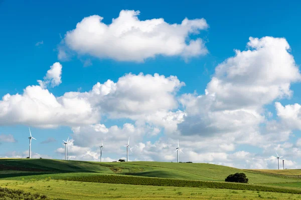 トラパニ シチリア島 イタリアの牧草地で再生可能エネルギー発電のための風力発電所 — ストック写真