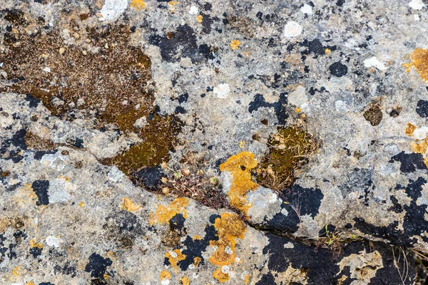 Закриття Старого Каменю Абстрактного Тла Валле Деі Темплі Або Долині — стокове фото