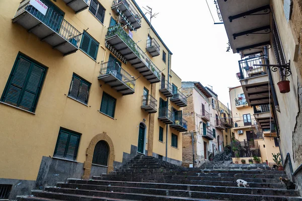 Drie Katten Een Straat Van Oude Stad Agrigento Sicilië Italië — Stockfoto