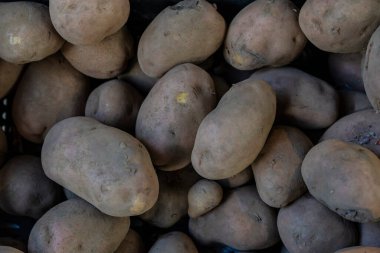 Bolhao Market 'teki bir meyve ve sebze dükkanında arka plan olarak patates yığını, Porto veya Oporto, Portekiz' deki sokak gıda pazarı