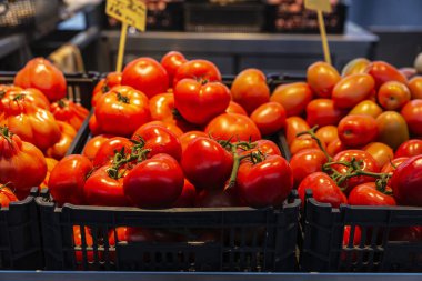 Bolhao Market 'teki bir meyve ve sebze dükkanında domates yığını, Porto veya Oporto, Portekiz' deki sokak gıda pazarı