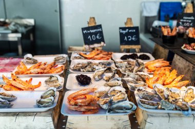 Bolhao Market 'teki gurme bir balık dükkanında taze istiridye, karides ve mor deniz kestanesi Porto veya Oporto, Portekiz' deki sokak yiyecekleri pazarı.