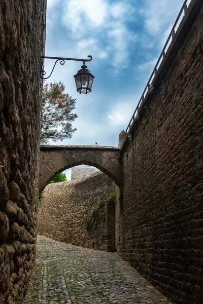Cite de Carcassonne, Occitania, Fransa 'nın ortaçağ kalesinin manzarası