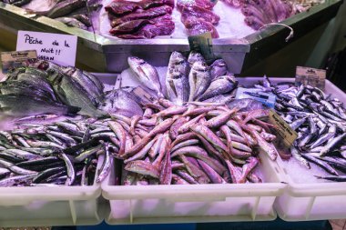 Taze balık, levrek, levrek, grayling, sardalya ve kırmızı kefal balığı Les Halles Market 'te, Narbona' da veya Narbonne 'da, Occitanie' de, Fransa 'da bir balık dükkanında.
