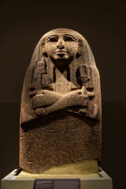 Torino, İtalya - 24 Kasım 2024: Egizio Müzesi 'nde Mısır Sarcophagus Müzesi veya Torin veya Torino, Piedmont, İtalya