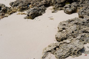 gökyüzü ve güzel mercanlar