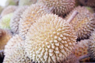 Arka plan olarak lezzetli taze Durian meyvesi