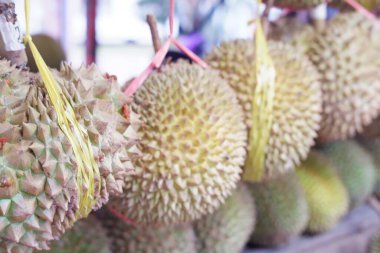 Arka plan olarak lezzetli taze Durian meyvesi