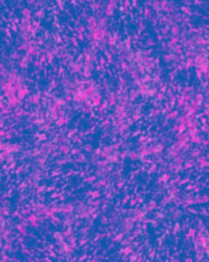 Güzel suluboya arka plan