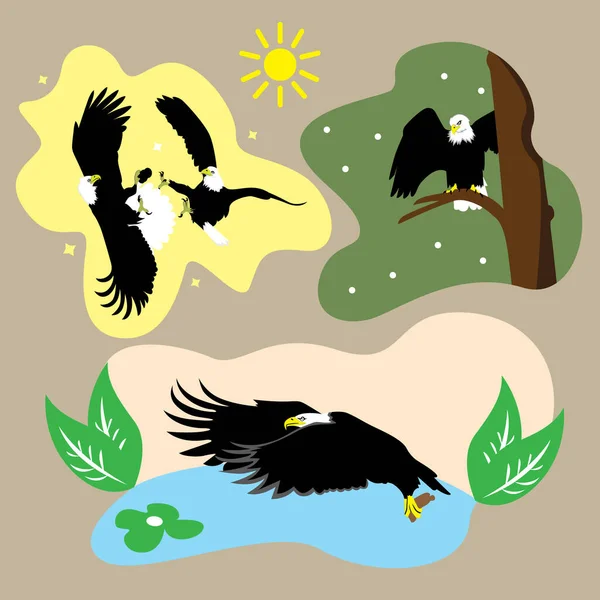 Stock vector Bald eagle and seagull in the forest. Vector illustration