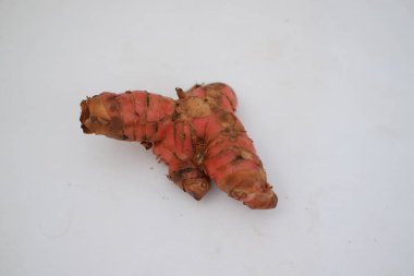 Beyaz arkaplan kesiminde taze zencefil kökü veya rizom izole edildi