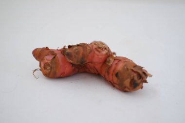 Beyaz arkaplan kesiminde taze zencefil kökü veya rizom izole edildi