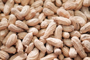 Ahşap arka planda kabuklu fıstıklar. Kapat..