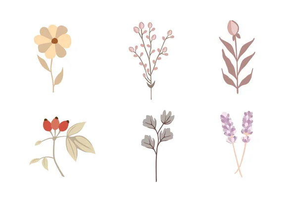 Zestaw Ręcznie Rysowanych Kwiatów Liści Gałęzi Ilustracja Wektora — Wektor stockowy