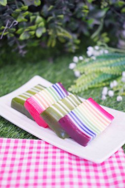 Kue Lapis ya da Rainbow katmanlı kek, pirinç unu ve hindistan cevizi sütünden yapılan geleneksel Endonezya tatlısı, katman katman pişmiş. Seçici odak.