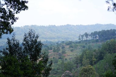 Ulusal Park 'ta yağmur mevsiminde yağmur ormanları