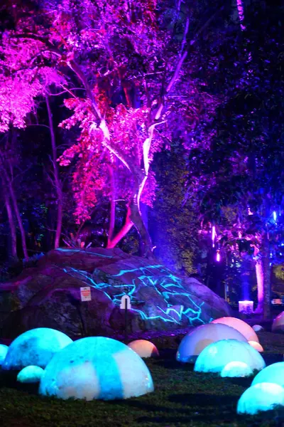 Gece parkında aydınlatma. Parkta gece aydınlatması.