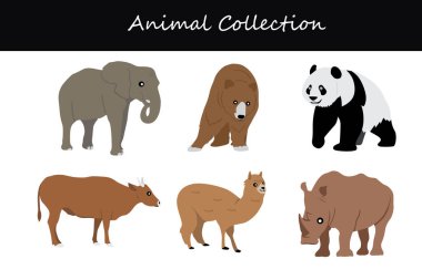 Hayvan koleksiyonu. Çizgi film tarzı. Vektör illüstrasyonu beyaz arkaplanda izole edildi.
