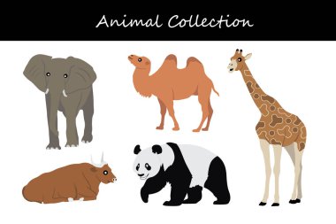 Beyaz arka planda izole edilmiş hayvan koleksiyonu. Düz biçim vektör illüstrasyonu.