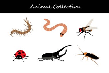 Beyaz arka planda izole edilmiş hayvan koleksiyonu. Düz biçim vektör illüstrasyonu.