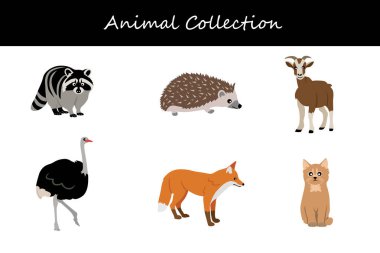 Beyaz arka planda izole edilmiş hayvan koleksiyonu. Düz biçim vektör illüstrasyonu.
