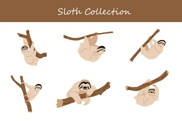 Tembel çizgi film vektör çizimi. Farklı pozlarda ve tavırlarda sevimli tembellik..