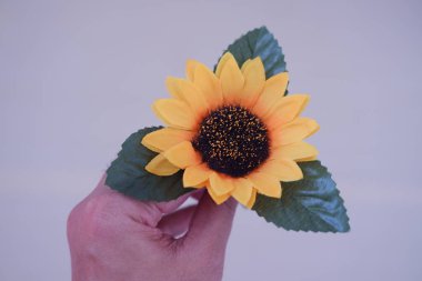 Bir insanın eli nazikçe bir ayçiçeği bitkisini tutuyor.