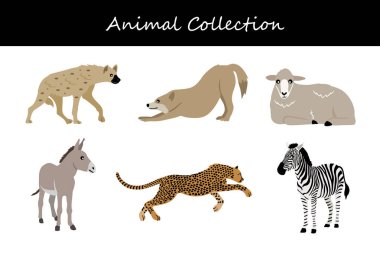 Hayvan koleksiyonu. Düz biçim vektör illüstrasyonu.