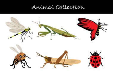 Hayvan koleksiyonu. Düz biçim vektör illüstrasyonu.