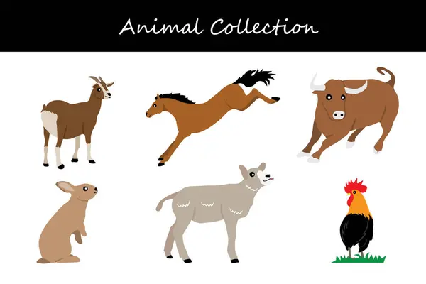 Hayvan koleksiyonu. Düz biçim vektör illüstrasyonu.