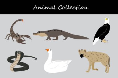 Hayvan koleksiyonu. Düz biçim vektör illüstrasyonu.