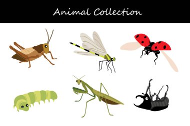 Hayvan koleksiyonu. Düz biçim vektör illüstrasyonu.