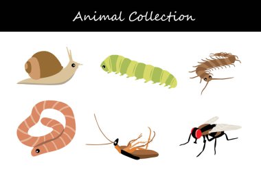 Hayvan koleksiyonu. Düz biçim vektör illüstrasyonu.