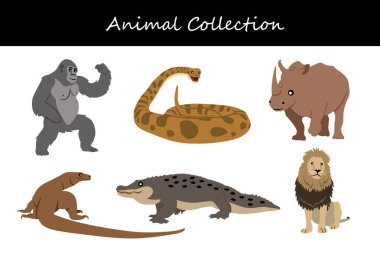 Hayvan koleksiyonu. Düz biçim vektör illüstrasyonu.